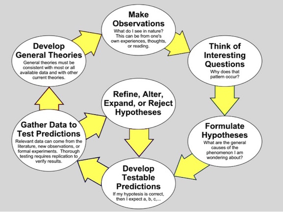 Wikepedia Scientific Method