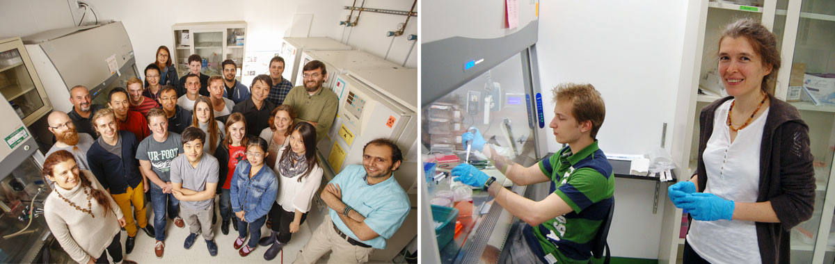 Vera Gorbunova in Research Lab