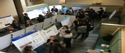 Biochemistry poster presentation group overhead