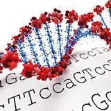 helical DNA and genetic code text