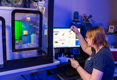 Flow cytometry