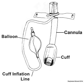 Trach parts diagram