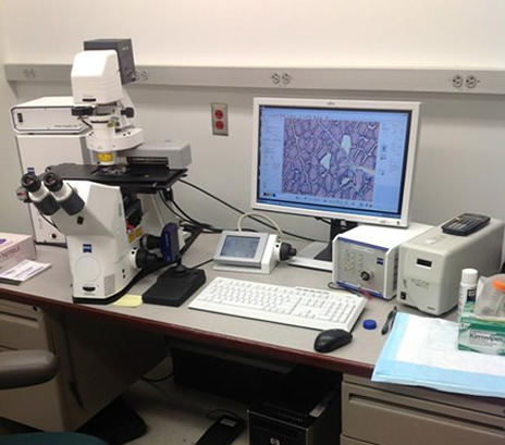 Zeiss Palmbeam Laser Capture