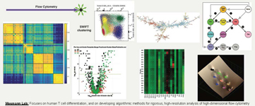 description of research in Mosmann lab