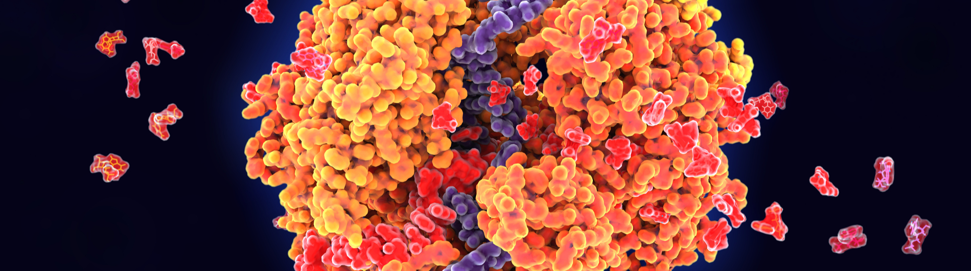 rna binding photo