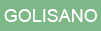 Golisano logo