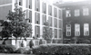New Wing