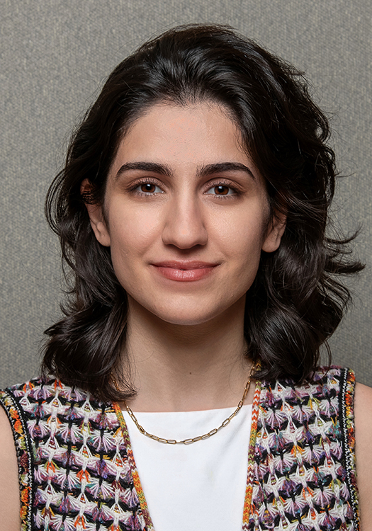 Sara Heidari Zadi