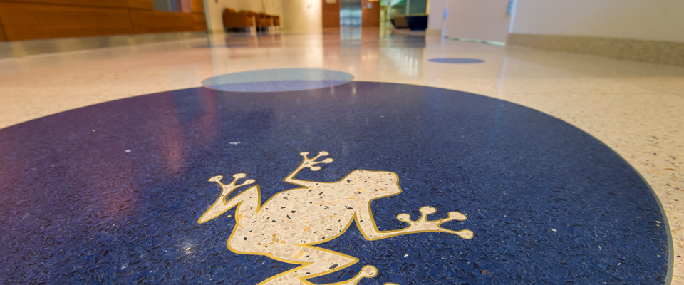 Ganatra Family Atrium - Frog on Lillypad floor motif