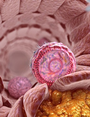 Science Image (Cholesterol)