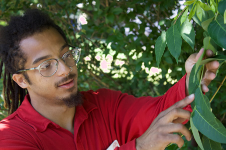 2022 – Tree Canopy Initiative, Cornell Cooperative Extension of Monroe County