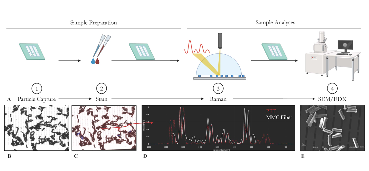 Summarized Analysis from Silicon Nanomembrane Analysis Pipeline (SNAP)