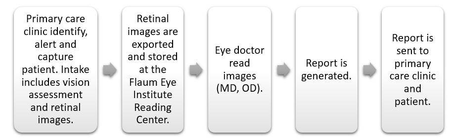 Workflow diagram