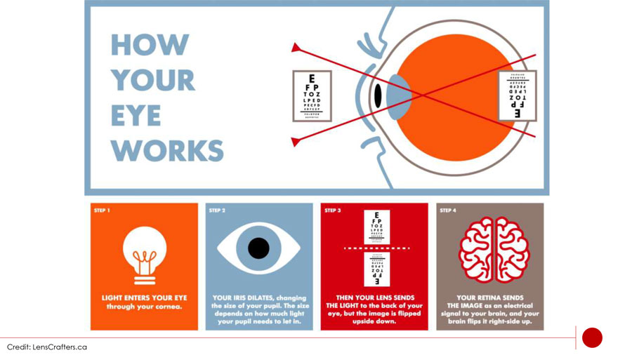 healthy eyes slide 2