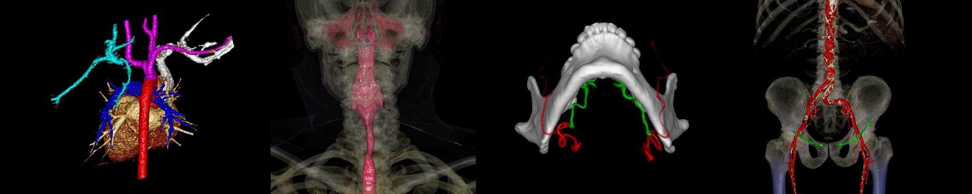 One scan from each of the clinical areas served