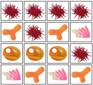 attentional preferences image