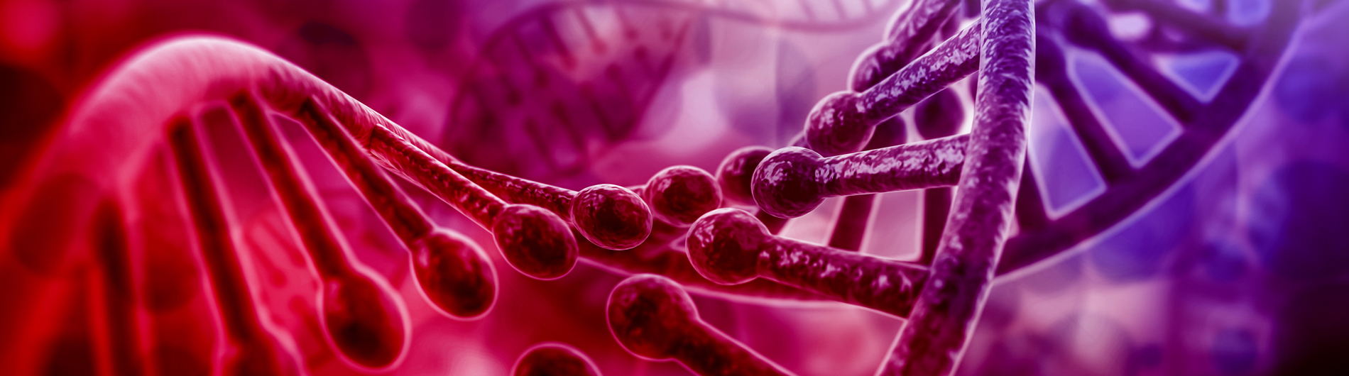 DNA-RNA photo