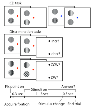 Diagramic representation of the task