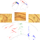 Examples of Circuit Tracings from Histology