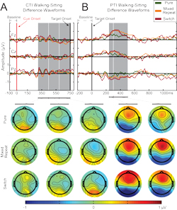 Figure_5-Diff-Waves-and-Diff-Topos