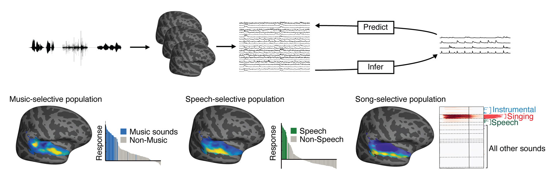 Computational Neuroscience of Audition lab photo