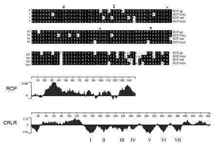 short hydrophilic protein