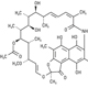 Combinatorial Antibiotic Therapy