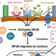 Mechanisms of Vulvodynia Involving Dysregulation of Pro-Resolving Lipids