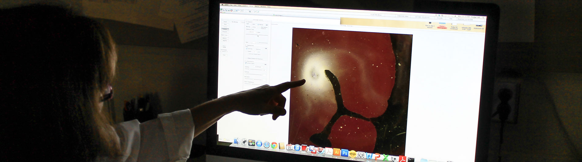 Photo of Julie Fudge describing some histology slide on computer