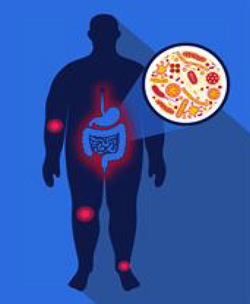 microbiome