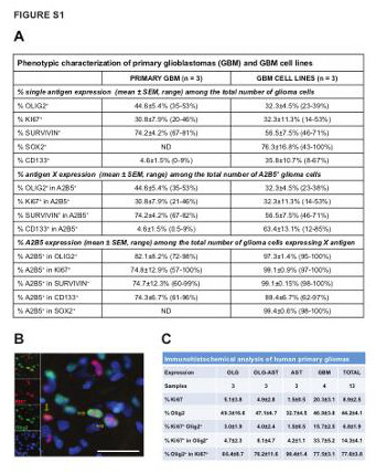 Supplemental figure 1