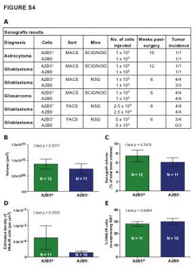 Supplemental figure 4