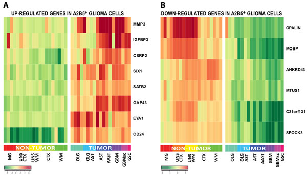 Plots of tumor stem cell genomics