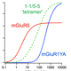 Functional Consequences of Heteromeric Receptor Association