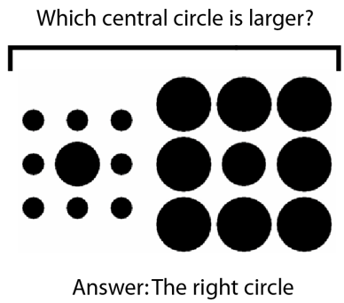 Keane lab project neural basis of size contrast figure