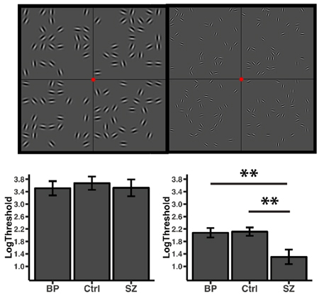 Keane lab project neural basis and stimulus conditions figure