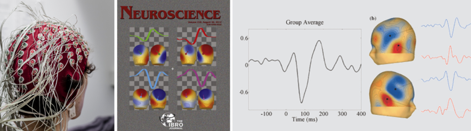 compilation image of research in the Lalor lab