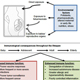 Early Life Exposures and Epigenetic Regulation