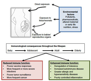 Diagram of pathways to disease