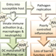 Impact of environmental agents on the incidence and severity of infectious, allergic and autoimmune diseases