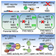 Studies of Exon-Junction Complex Heterogeneity