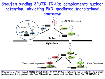 Slide 10