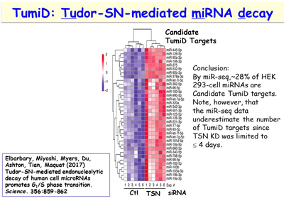 Slide 13