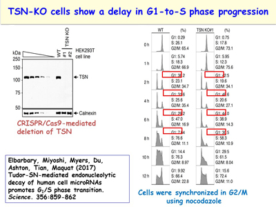 Slide 14