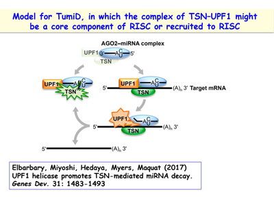 Slide 15