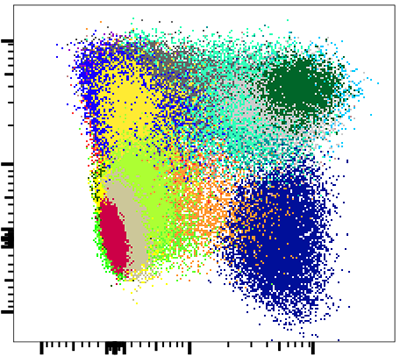 SWIFT clusters