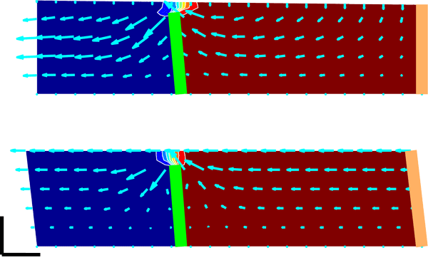 Inner hair cell fluid mechanics