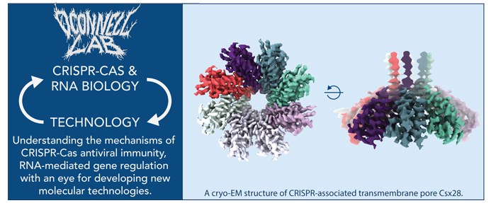 RNA Biology