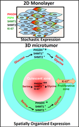 2D-3D