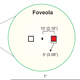 High-resolution control of selective attention